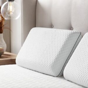 Memory Foam Pillow